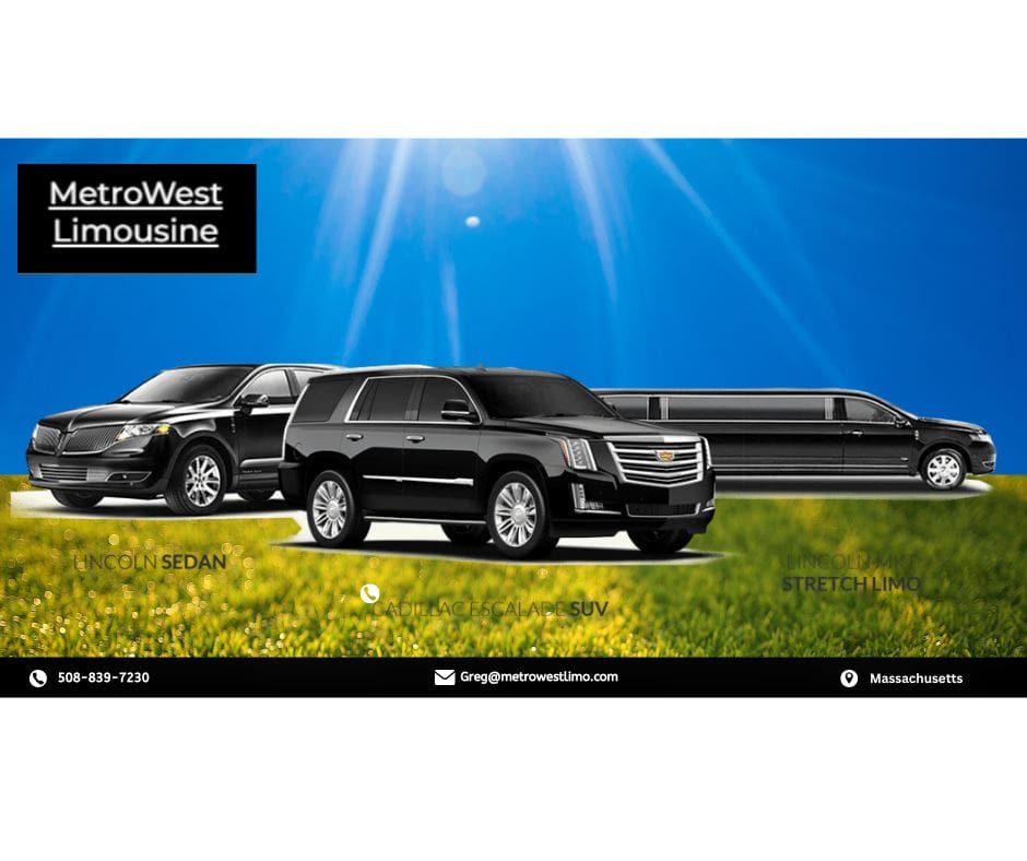 Limousine Fleet