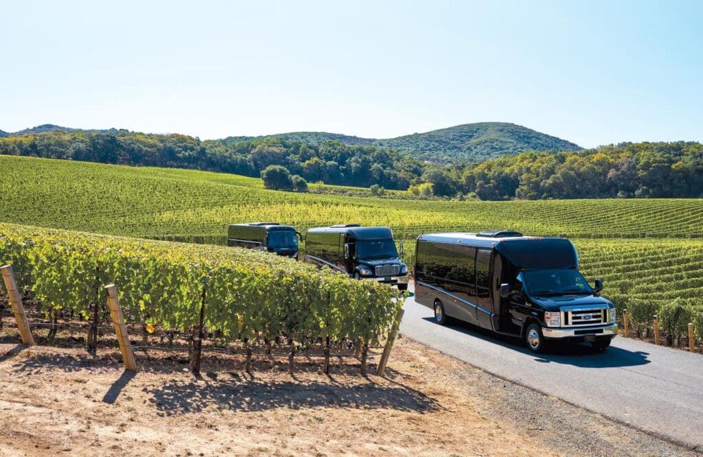 Group of party buses are at vineyard for a group celebration 